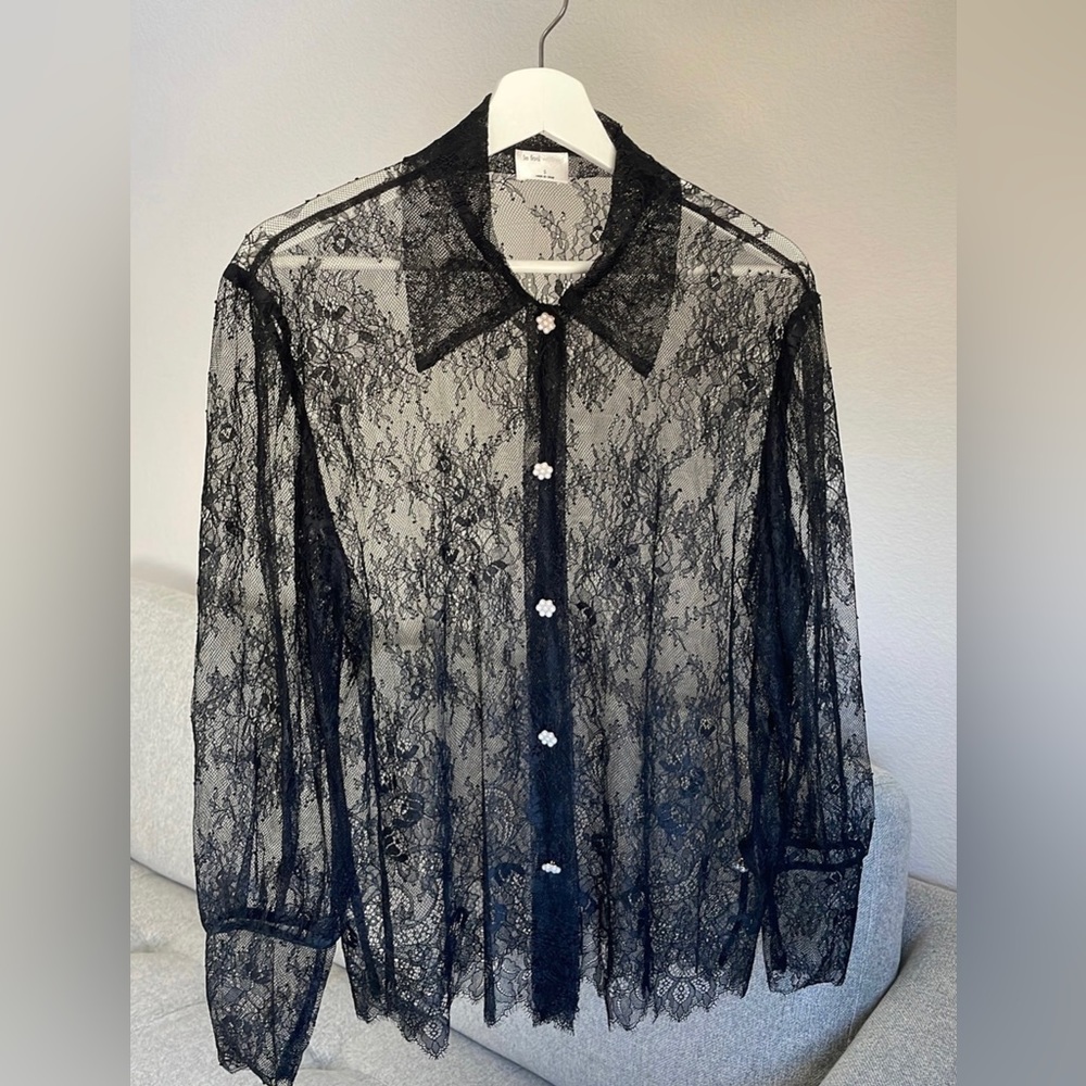Aritzia Sheer Black Lace Button-Up Blouse